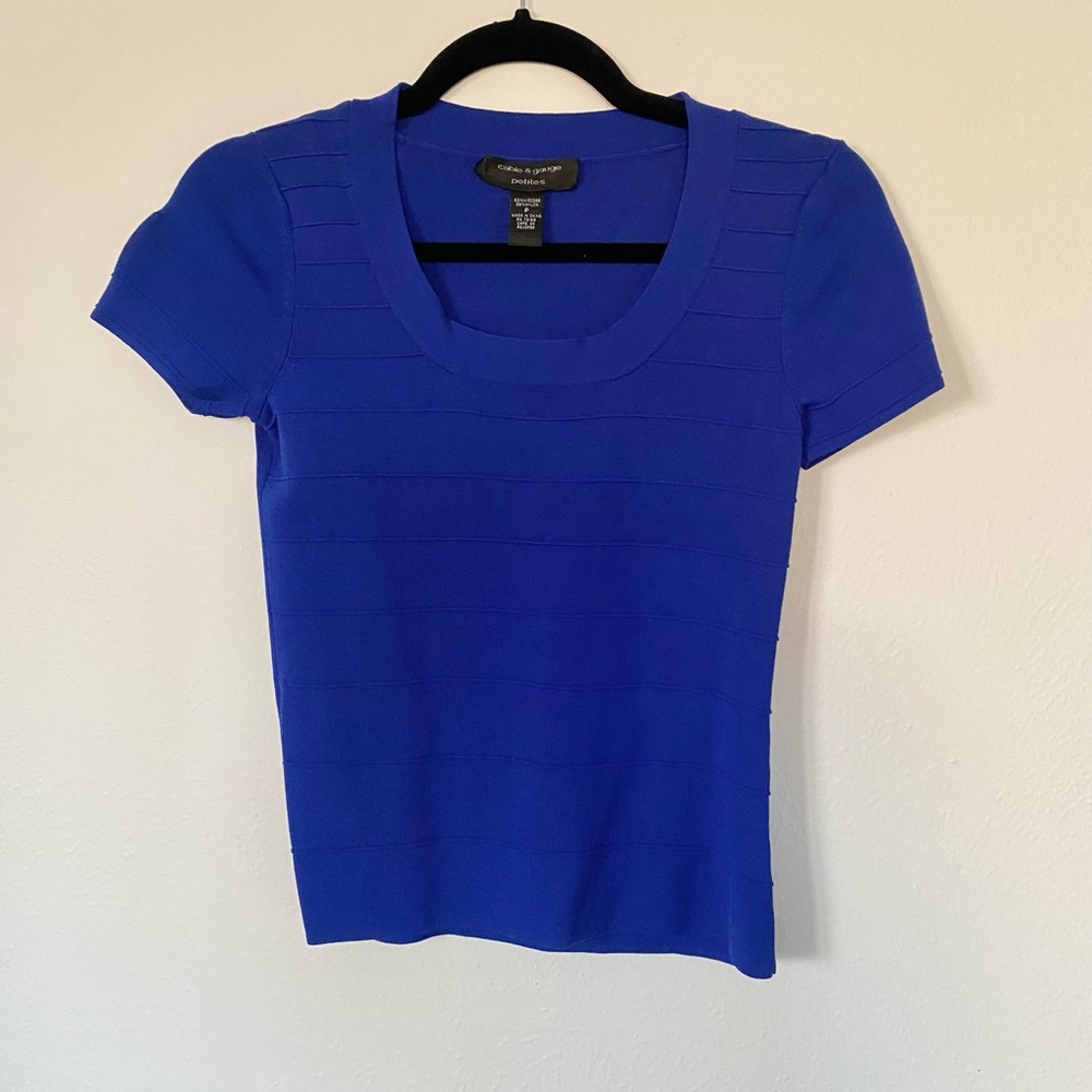 Cable & Gauge Petites Blue Stretchy Shirt Size Small